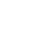 Total Project Execution