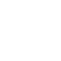 icon 1 icon 1