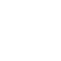 icon 2 icon 2